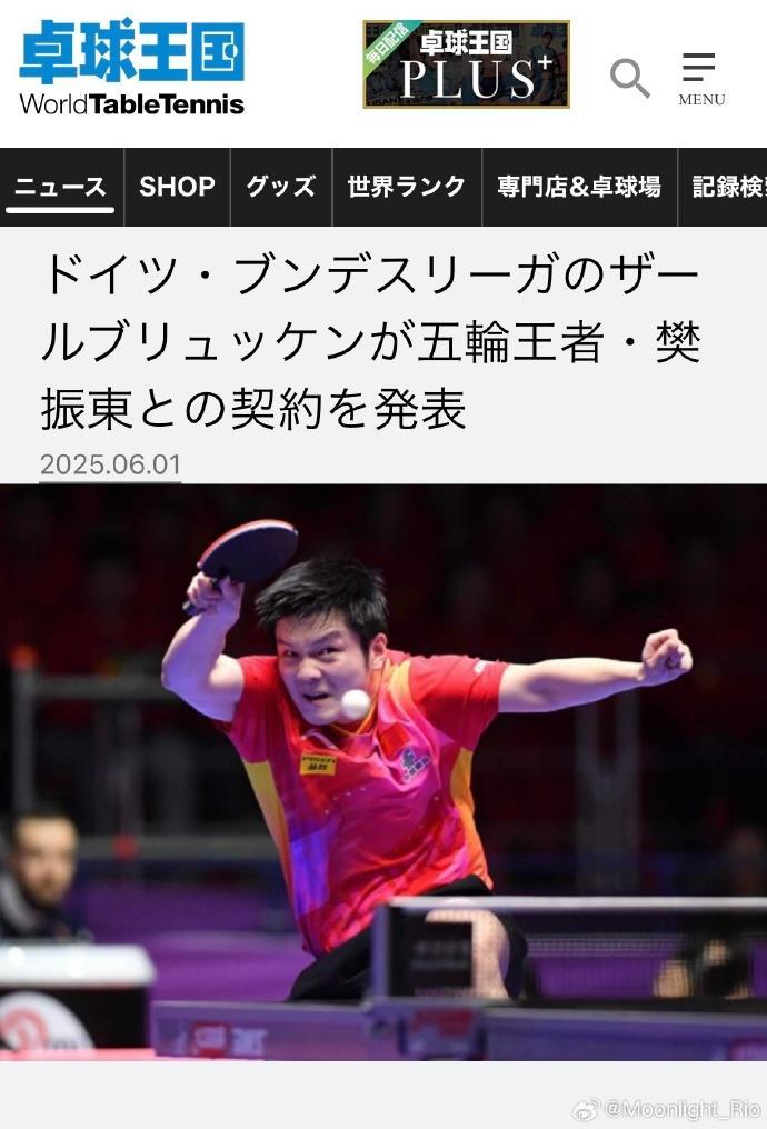 波兰乒乓球队鏖战比利时乒乓球队,樊振东关键制胜的简单介绍 波兰乒乓球队鏖战比利时乒乓球队,樊振东关键制胜的简单介绍