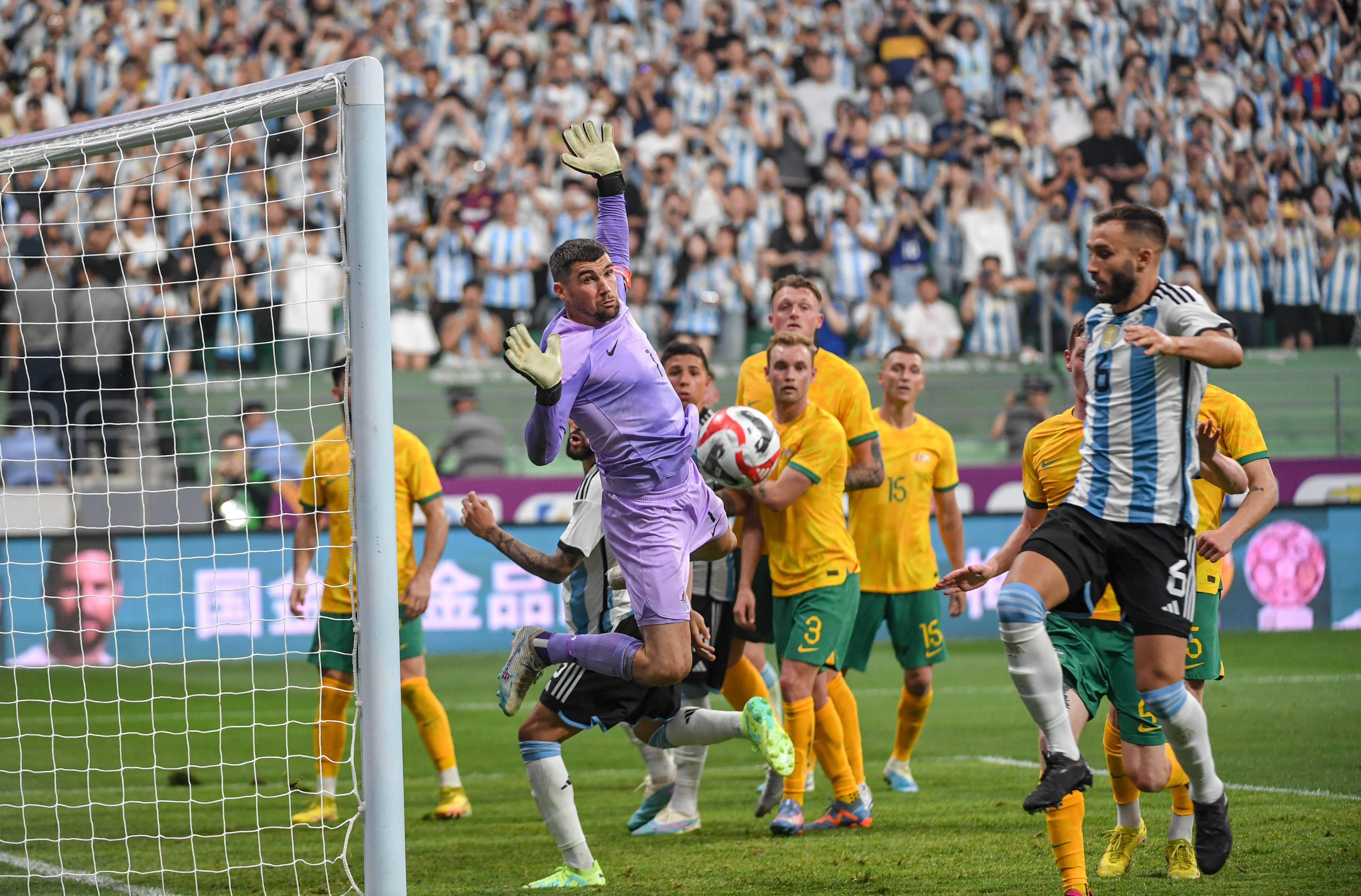 关于2025世俱杯：博塔弗戈赛前焦点揭秘的信息