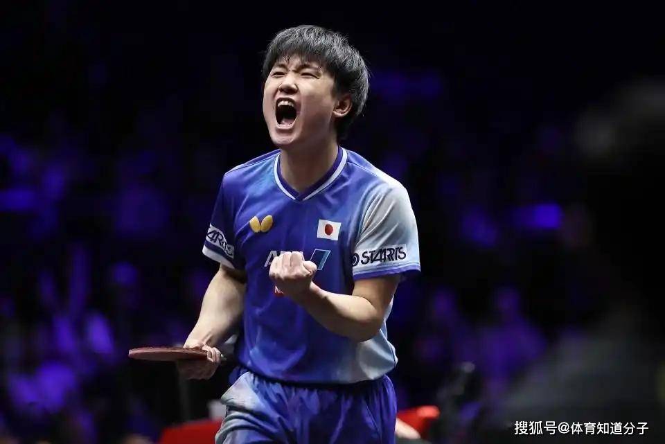日本乒乓球队翻盘奥地利乒乓球队，张本智和统治全场的简单介绍