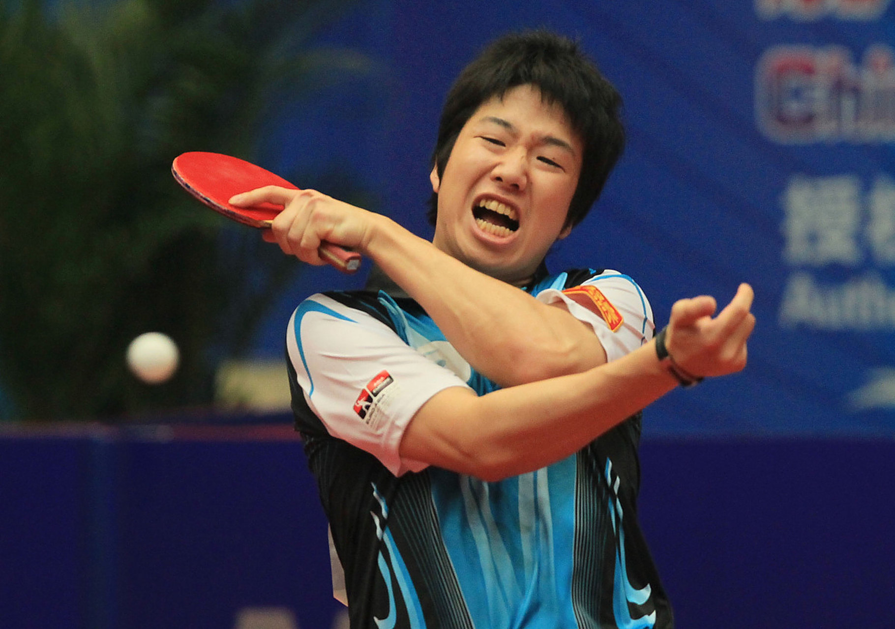 中国乒乓球队力克韩国乒乓球队，水谷隼惊艳世界的简单介绍