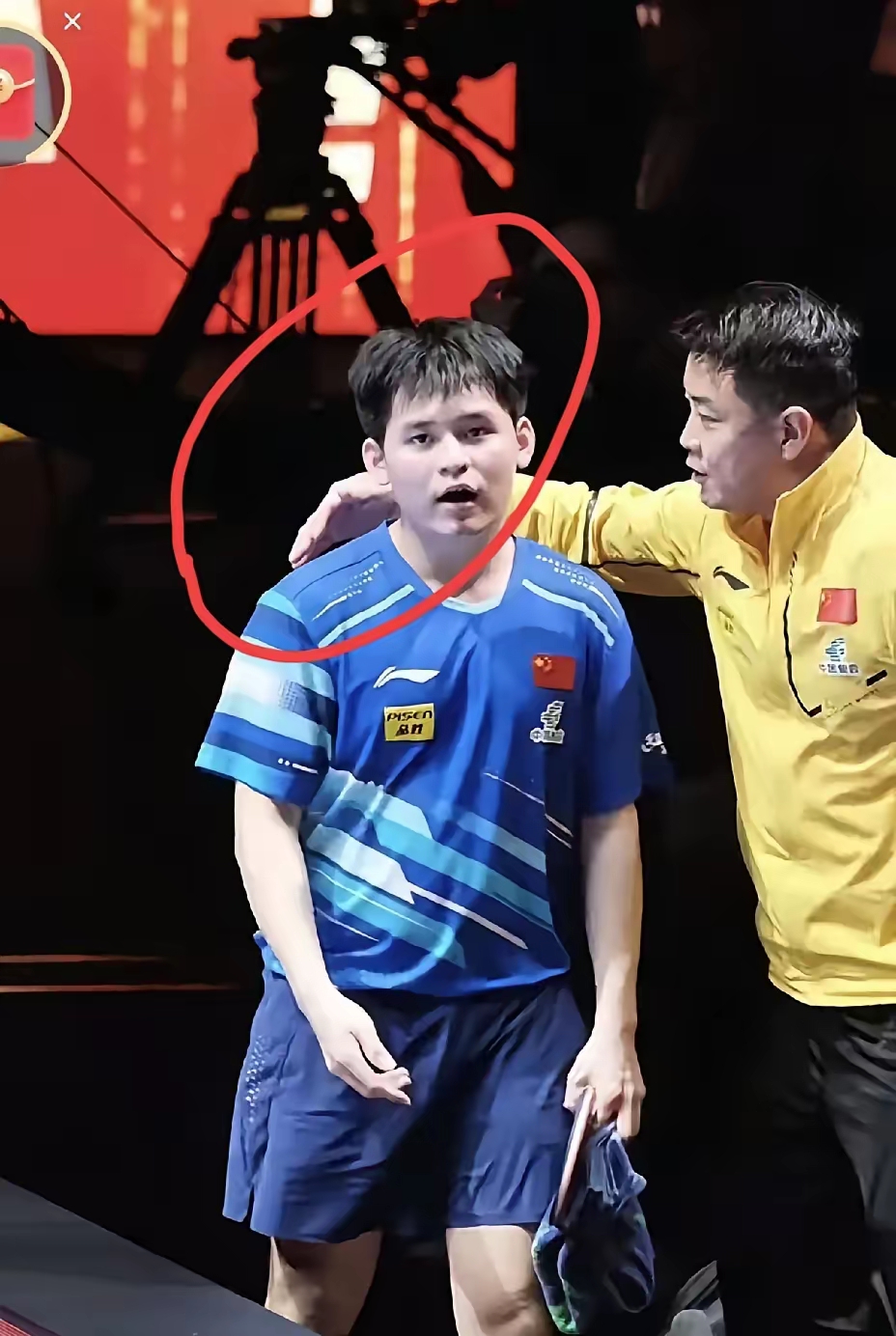 关于比利时乒乓球队险胜德国乒乓球队，王皓爆发神勇的信息