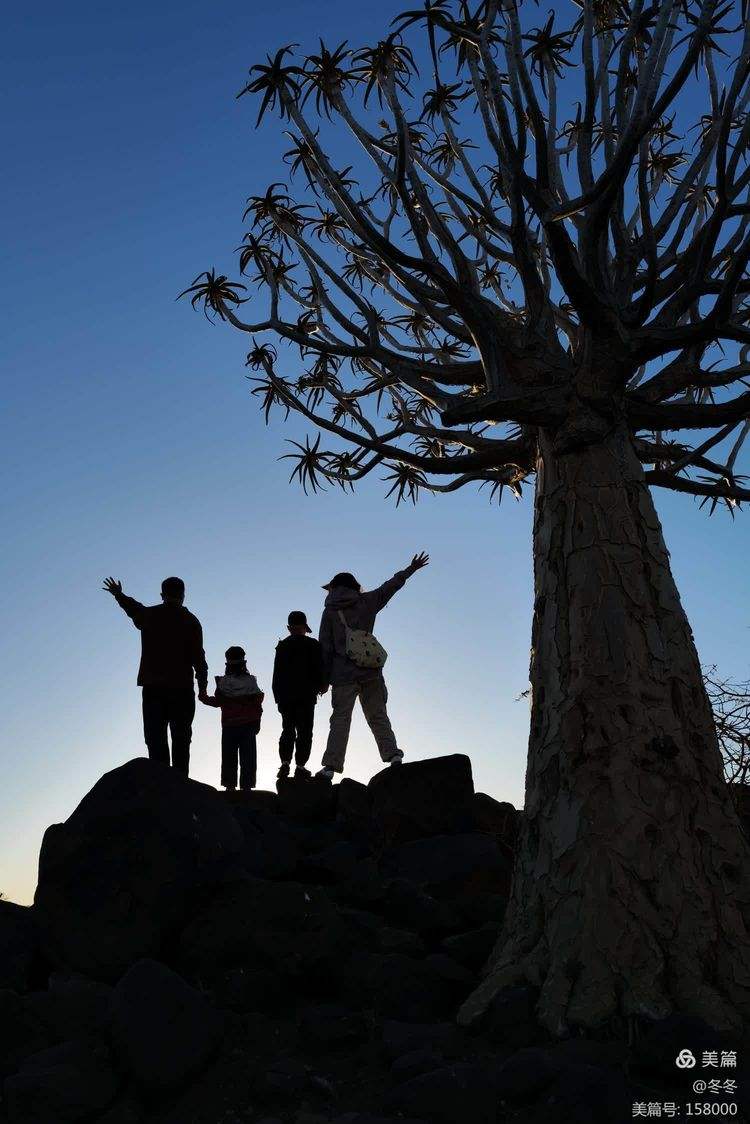 阿尔及利亚篮球队壮行纳米比亚沙漠探索之旅的简单介绍