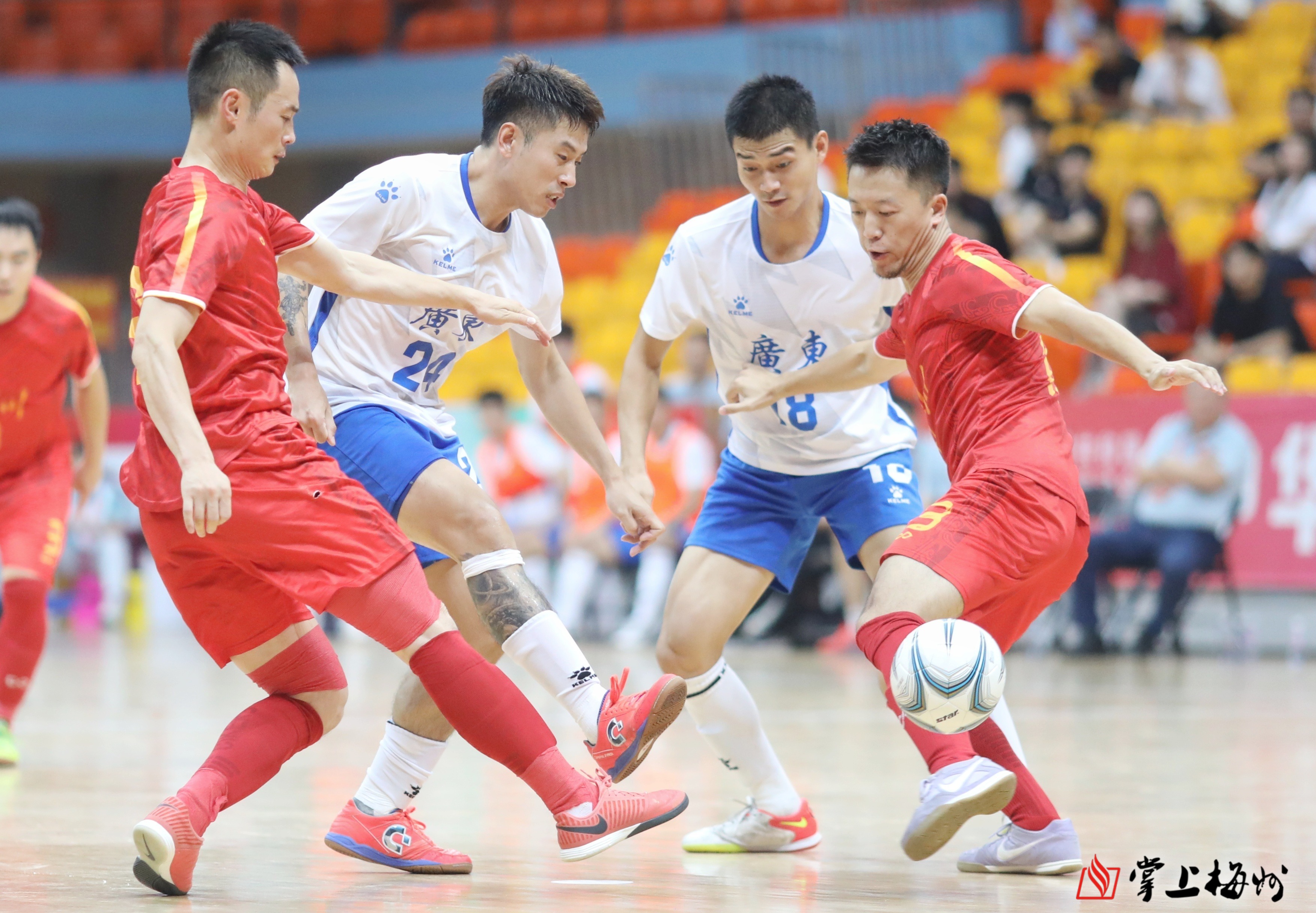 黑白之争广东队战胜广东豹队的简单介绍 黑白之争广东队战胜广东豹队的简单介绍