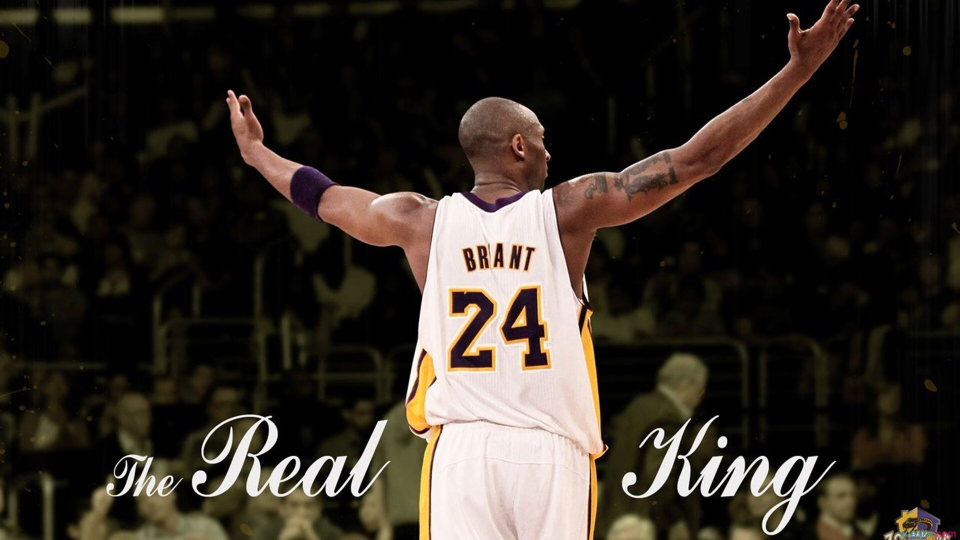 戴维斯杯横扫拉沃尔杯，阿尔卡拉斯关键制胜，定义网球新时代